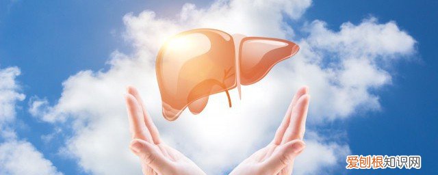 补肝 吃什么 补肝吃什么食物