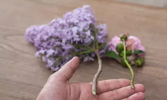 插花怎么养活，插花活不久，全是你的处理有问题！来看花瓶养花窍门