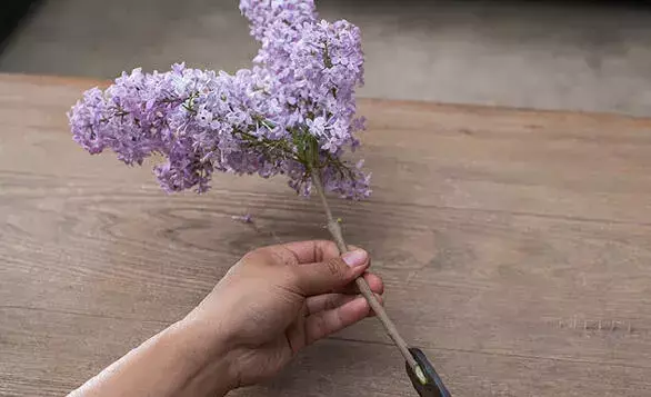 插花怎么养活，插花活不久，全是你的处理有问题！来看花瓶养花窍门