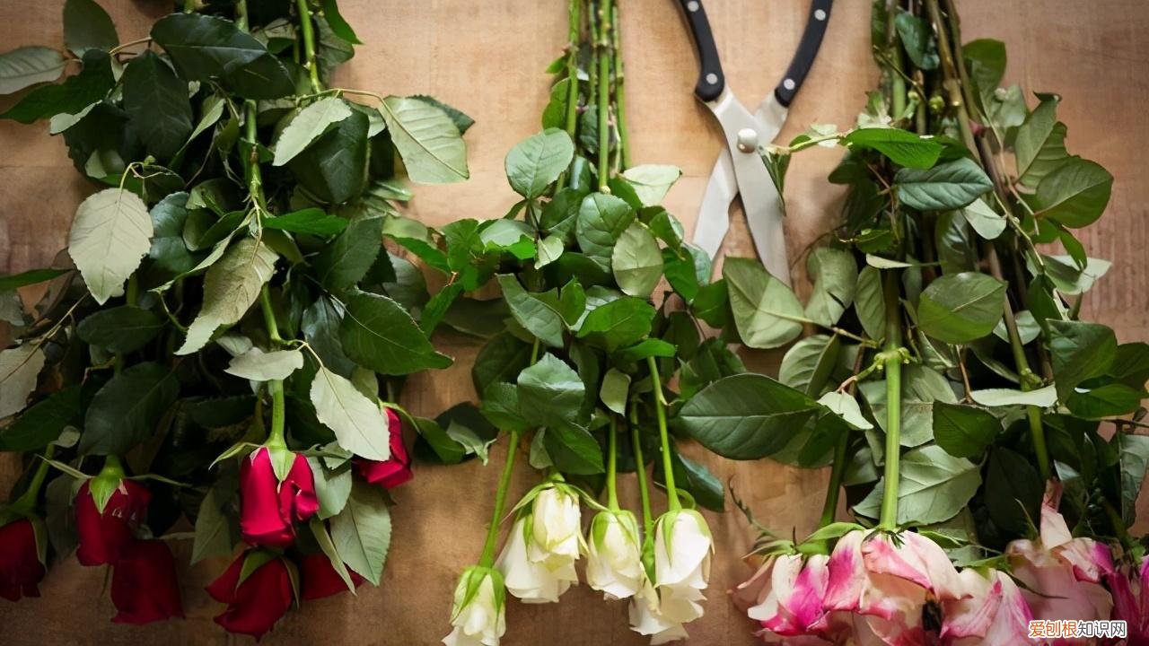 使鲜花在花瓶中保持更长时间，采摘的花插进花瓶，6个方法延长凋谢时间，还能保持鲜艳的花色