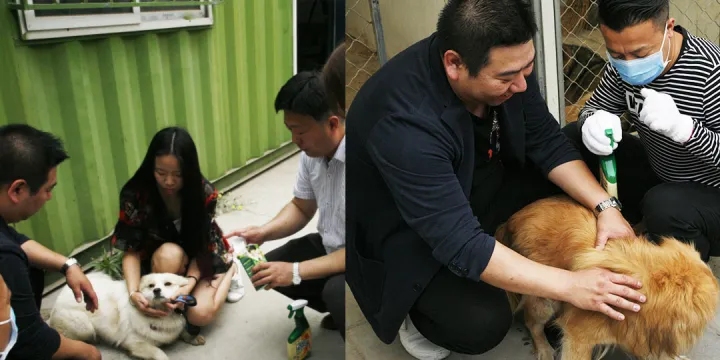 关爱动物,我们在行动，保护小动物，我践行，你助力，我们一起走下去