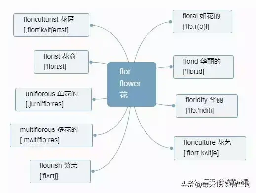 英语的字根，每天1分钟背单词 词根flor