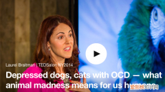 Ted分享 治疗抑郁症养猫还是养狗好，抑郁的狗和猫对人类来说是什么意思？