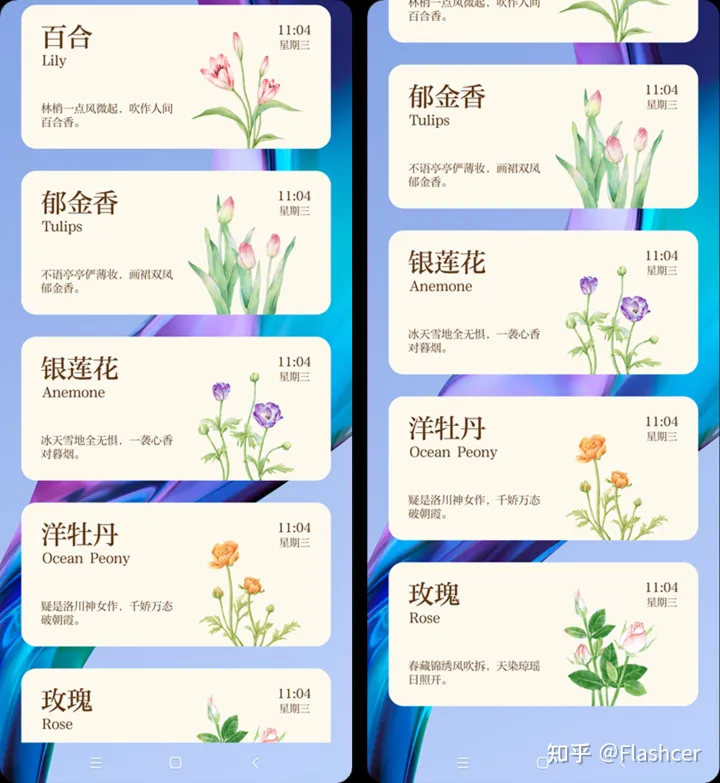 小米手机应用显示网络异常，MIUI 13小部件新增【花期】，5款样式随意添加桌面，你喜欢哪一种？