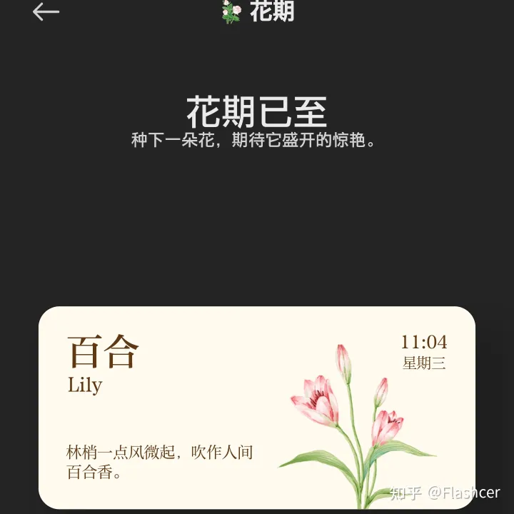 小米手机应用显示网络异常，MIUI 13小部件新增【花期】，5款样式随意添加桌面，你喜欢哪一种？