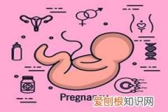 产后8个月怀孕机率大吗 ，孕8个月能生产吗