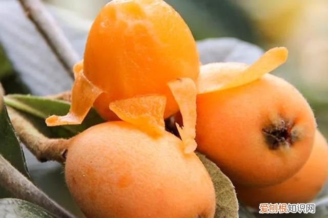 来月经吃什么水果容易停经,女人例假来袭尽量少碰3种水果