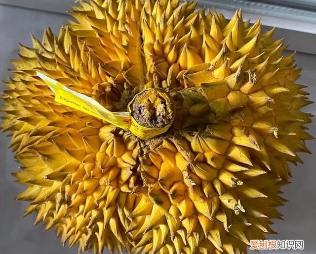 来月经吃什么水果容易停经,女人例假来袭尽量少碰3种水果