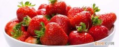 常吃草莓的好处和坏处 吃草莓的好处和坏处《吃草莓的好处和坏处简单介绍》