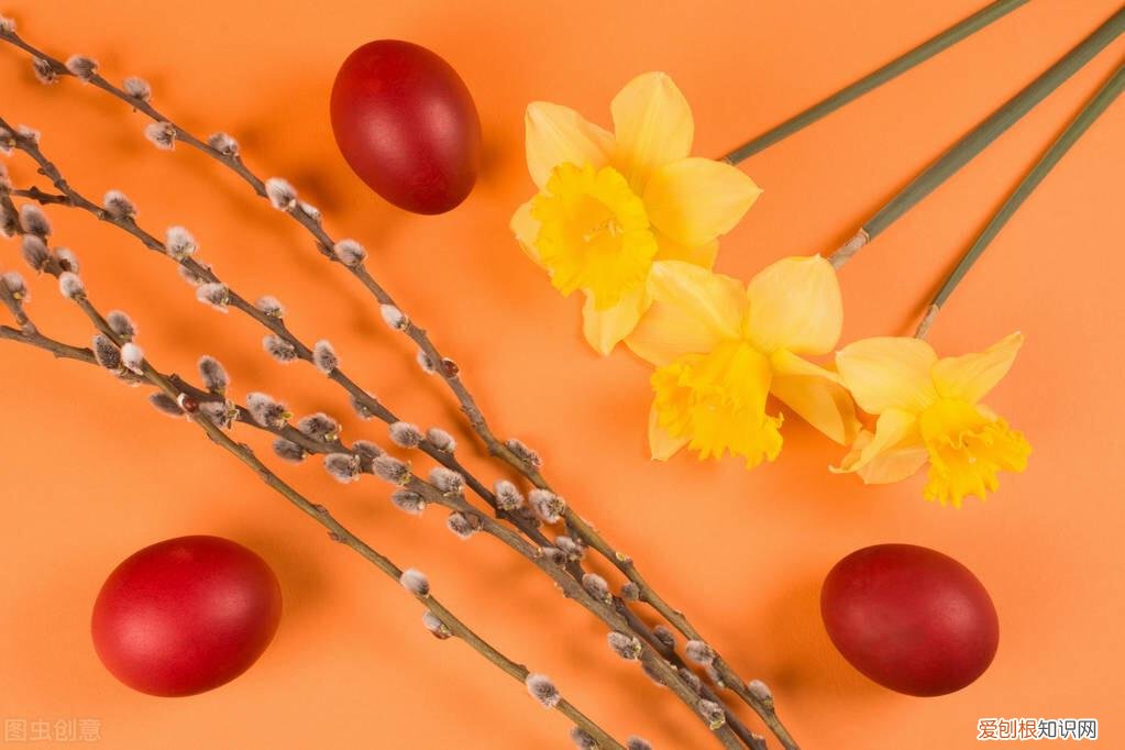 或植物 普通话命题说话我最喜欢的动物狗，普通话命题说话范文3篇，我最喜欢的动物