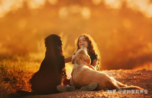 我国古人特别喜欢在诗中写动物你能举出一两例吗，古人是如何描写小动物的呢？8首诗8种动物，换个方式教孩子认识