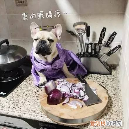 必知生活常识，生活常识：10个不可不知道的生活常识