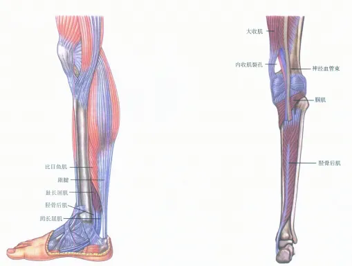 很多人不知道的常识，有哪些常人不知道的「常识」？