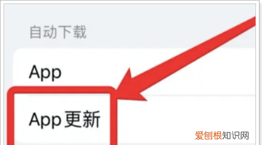 苹果app自动更新怎么关闭，苹果手机App自动更新该怎么关闭