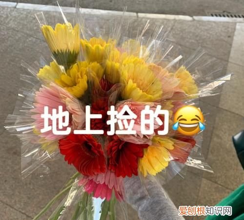 鲜花属于什么垃圾，鲜花包装属于什么垃圾