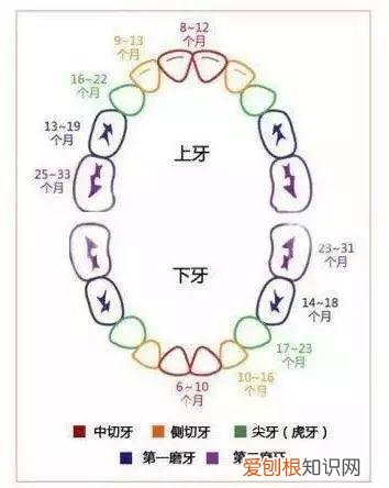 收藏用 孕妇是怎样生宝宝的，26个从怀孕到生娃的母婴常识！