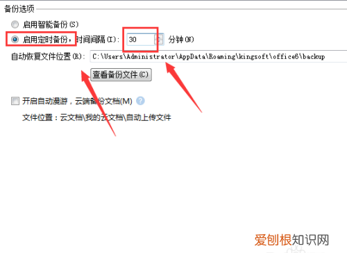 wps表格如何嵌入图片，wps表格怎么设置自动保存