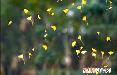 如何去除照片多余人物，如何快速去除照片中多余的人物