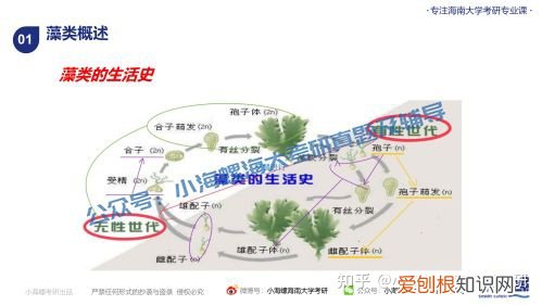 宁波大学渔业发展真题答案，海南大学考研|海南大学23渔业发展340&#038;831真题解读来啦！