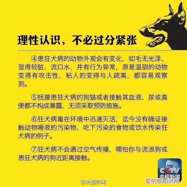 小猫抓伤出血有事吗,小猫抓伤出血要不要打血清,小猫抓伤出血要不要打狂犬疫苗