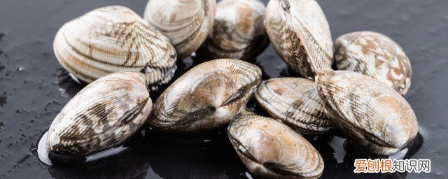 经常吃蛤蜊好处与坏处