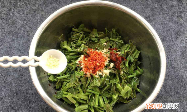 香椿和臭椿的区别,臭椿和香椿区别图片