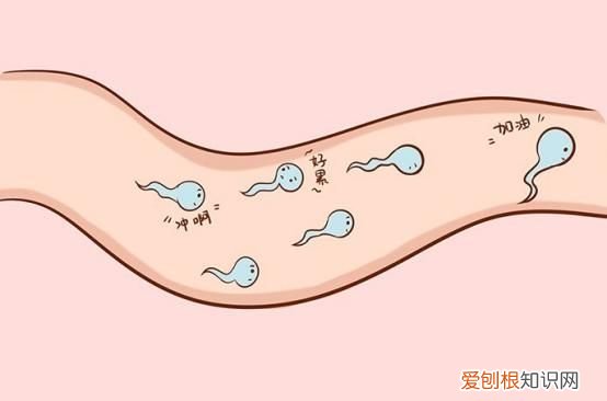 吃一口等于10斤生蚝,男性精子不好,可劲吃,精子一天天变强