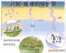 臭氧层破坏的原因有哪些