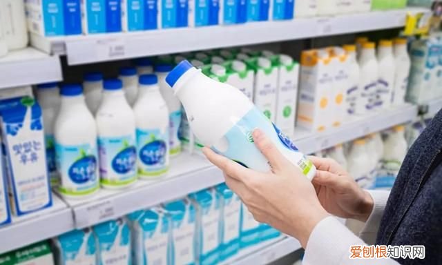 牛奶酸奶这些要不要放冰箱呢,牛奶放酸奶里会发酵吗