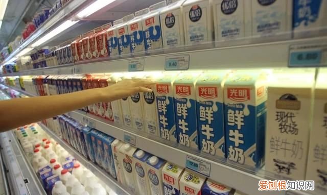 牛奶酸奶这些要不要放冰箱呢,牛奶放酸奶里会发酵吗