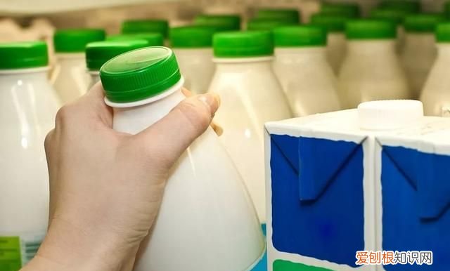 牛奶酸奶这些要不要放冰箱呢,牛奶放酸奶里会发酵吗