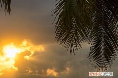 2023年夏至后几天入伏