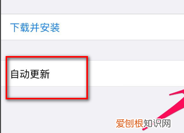 苹果手机怎么关闭App自动更新