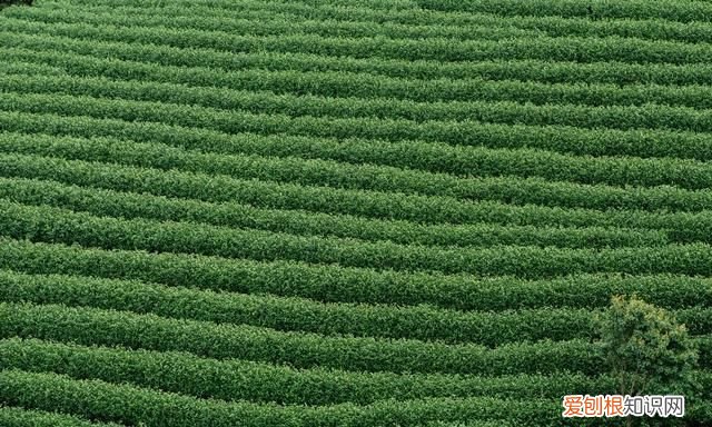 湖州十个最美的自驾游景点 你去过几个城市