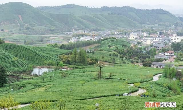 湖州十个最美的自驾游景点 你去过几个城市