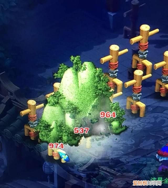 红法属于什么草