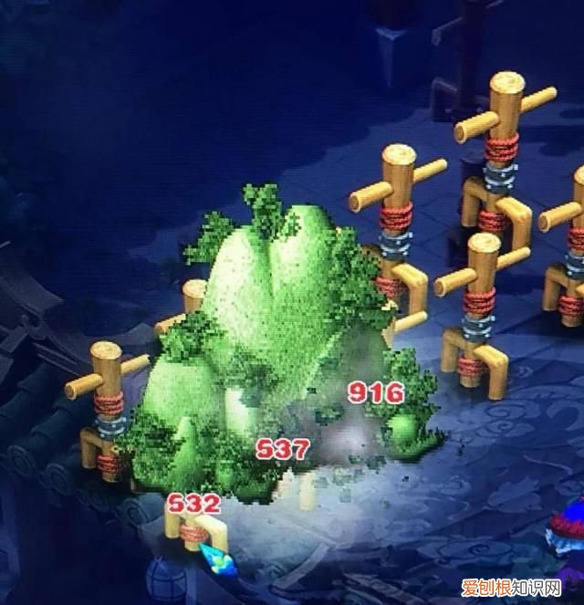 红法属于什么草