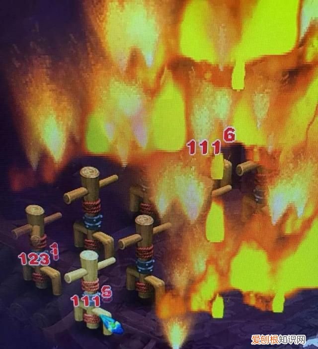 红法属于什么草