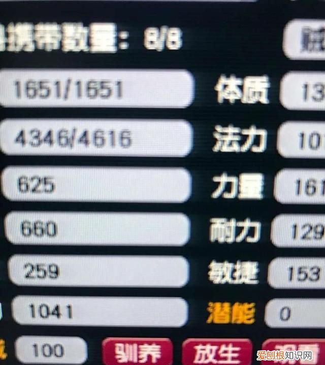 红法属于什么草