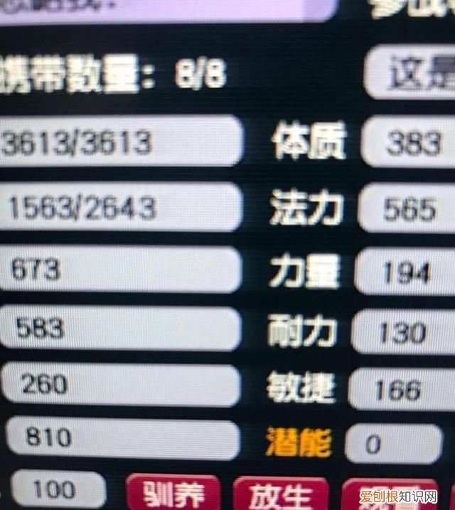 红法属于什么草