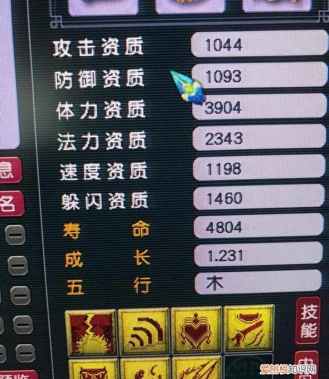 红法属于什么草