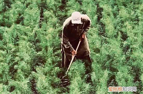 2024五一劳动节祝福语简短 51祝福的话简单有暖心