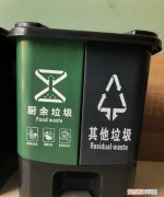 花生仁属于什么垃圾分类，坚果果仁属于什么垃圾分类类别