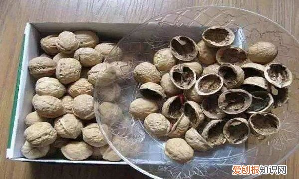 花生仁属于什么垃圾分类，坚果果仁属于什么垃圾分类类别