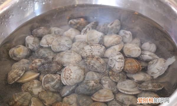 花甲肉为什么是红的，为什么炒出来的花甲是苦的