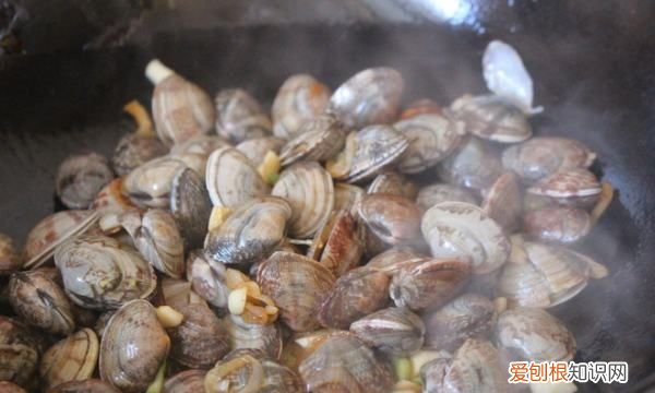 花甲肉为什么是红的，为什么炒出来的花甲是苦的