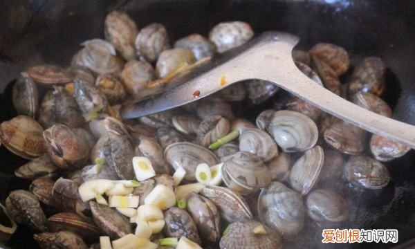 花甲肉为什么是红的，为什么炒出来的花甲是苦的