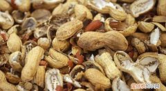 干花生壳是什么垃圾桶的，瓜子壳核桃壳属于什么垃圾