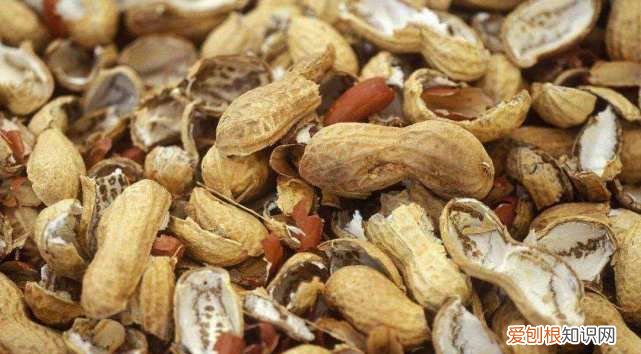 干花生壳是什么垃圾桶的,瓜子壳核桃壳属于什么垃圾