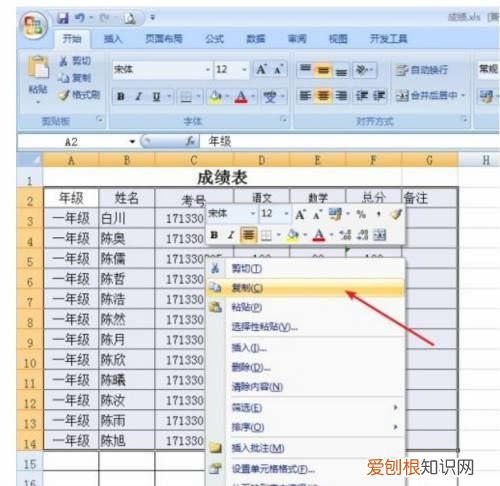 word表格显示不完整怎么调